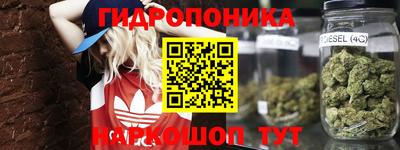 сатива Брянск