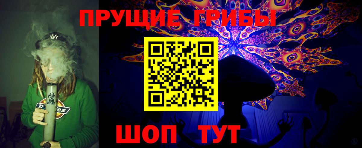 Оренбург  Псилоцибиновые грибы прущие грибы  Вход с VPN 